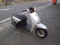z_@TODAY