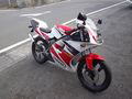 }n@TZR50R